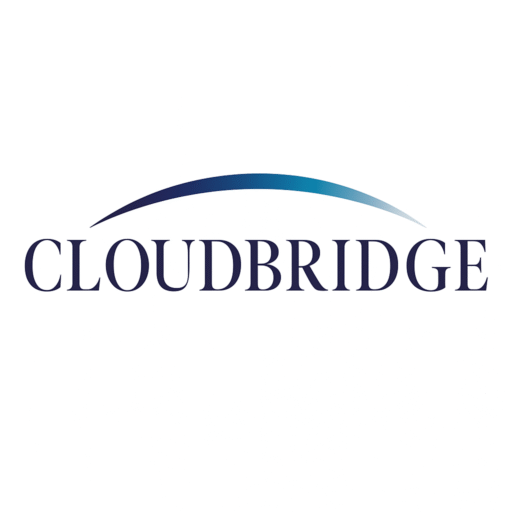 Cloudbridge Detroit About - cloudbridge-tech.com